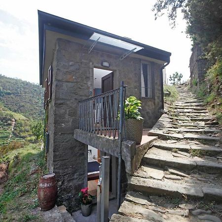 Fiesse Cottage Manarola Dış mekan fotoğraf