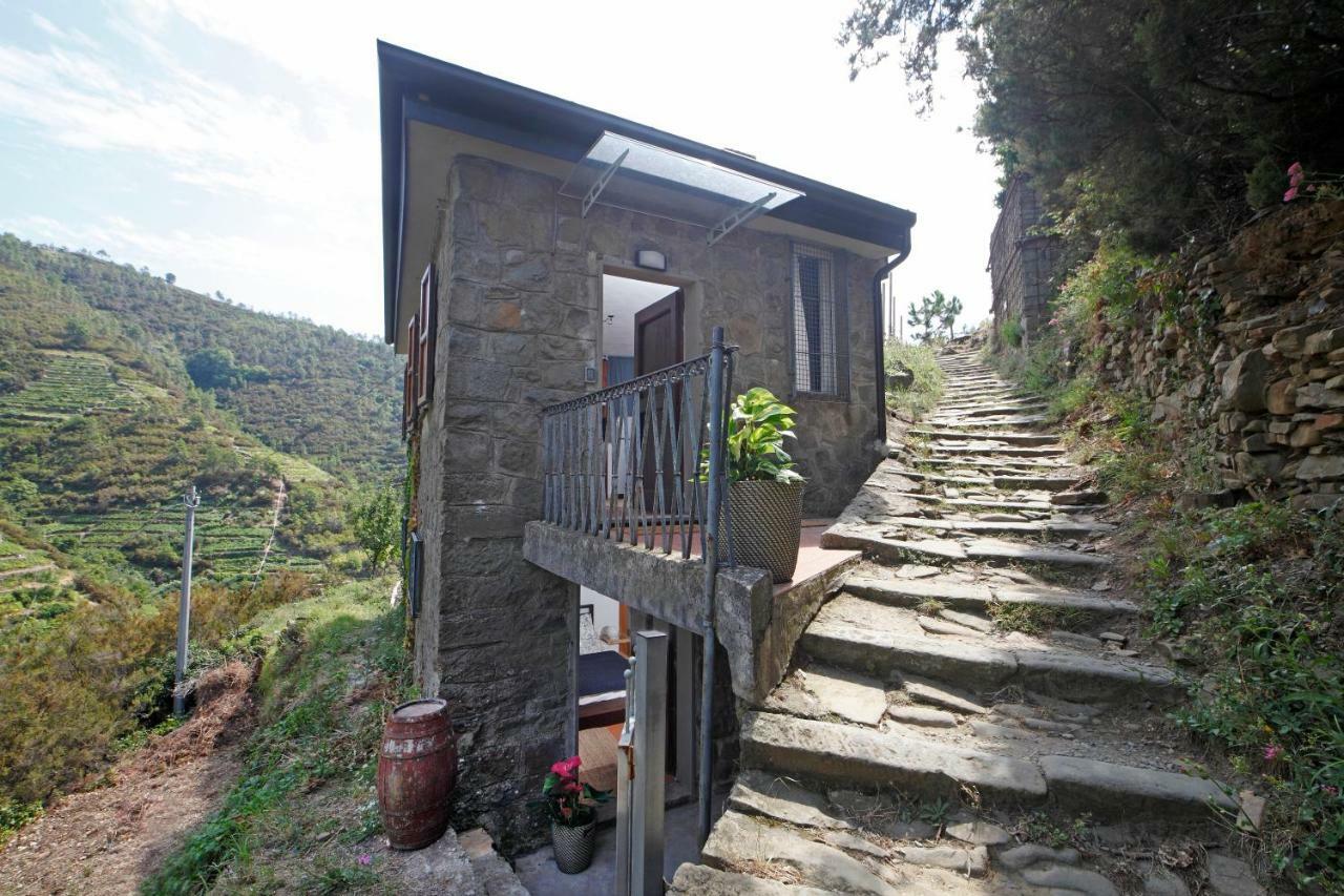 Fiesse Cottage Manarola Dış mekan fotoğraf