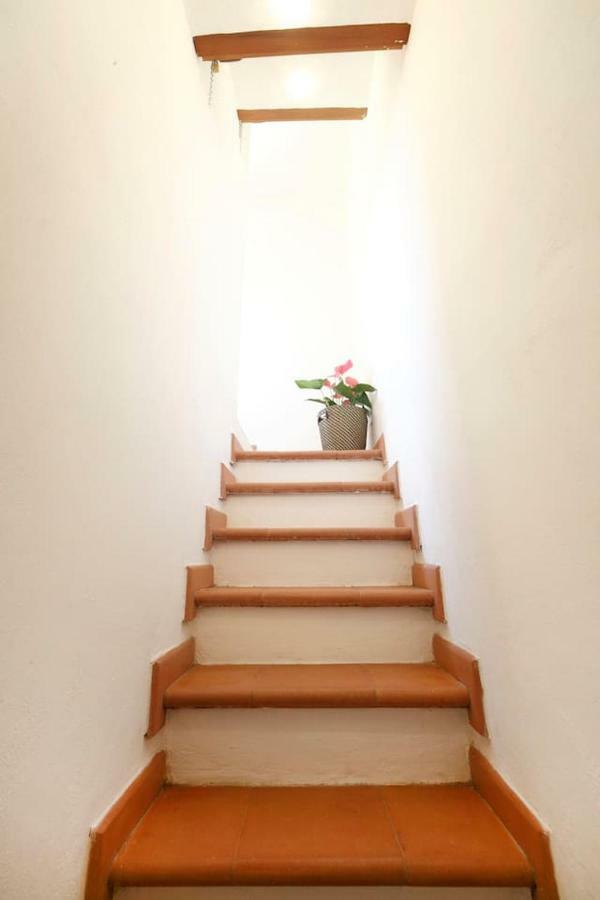 Fiesse Cottage Manarola Dış mekan fotoğraf