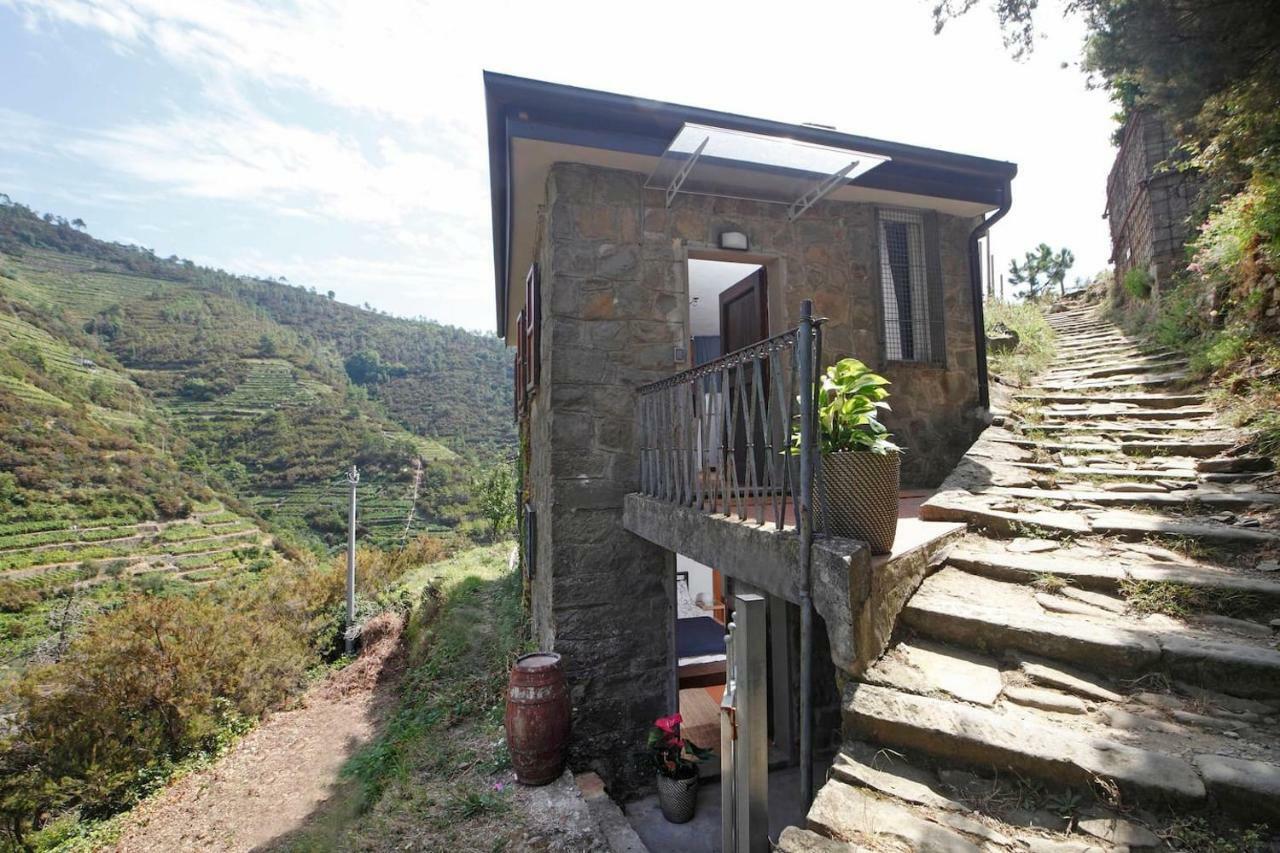 Fiesse Cottage Manarola Dış mekan fotoğraf